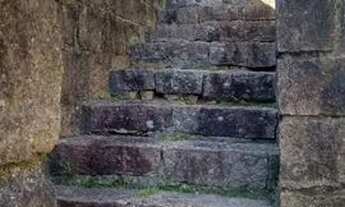 Imagem 2: Terreno em Tristeza