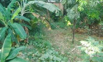 Imagem 5: Casa no Colônia terra nova