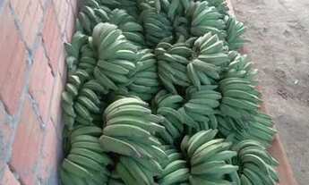 Imagem 5: Sítio Chácara com venda por R$350.000