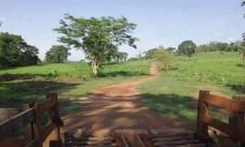 Imagem 4: FAZENDA EM RIBEIRAO CASCALHEIRA MT