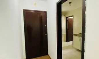 Imagem: Apartamento para aluguel possui 50 metros