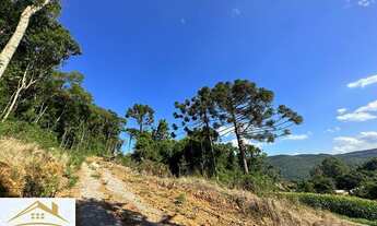 Imagem 2: Área de terras com 30.055,34 metros quadrados no Pinhal Alto Nova Petrópolis RS. Ref.:1126