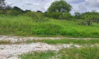 Imagem 3: Vendo lotes financiados