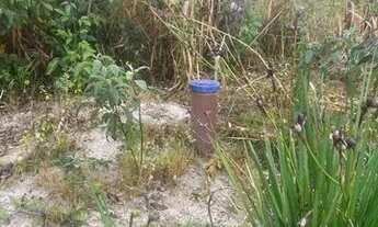 Imagem 3: Cháchara em Belo Vale