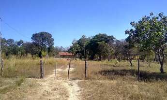 Imagem 6: Vendo Sítio 7aq em Natividade To