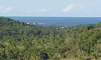 Imagem 3: Fazenda/Sítio/Chácara para venda possui 300 metros quadrados com 4 quartos em Igarassu/PE