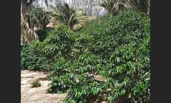 Imagem 6: Vendo Terreno Em Brejetuba