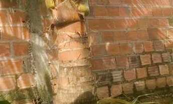 Imagem 2: Vendo casa com no centro aceito carrocomo parte do pagamento