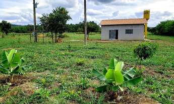 Imagem: Vendo chácara em Planaltina Go. 1 hectare