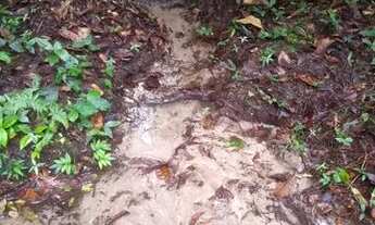 Imagem 2: Sítio Chácara com venda por R$350.000