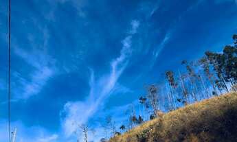 Imagem 5: Fazenda/Sítio/Chácara/Granja/Terreno para venda em Juiz de Fora - MG