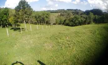 Imagem 4: Chácara Completa 10 Hect Flores da Cunha-RS