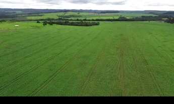 Imagem 5: Vende-se uma excelente fazenda de 300 hectares no padef