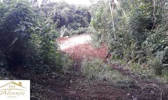 Imagem 4: Área de terra bairro Linha Imperial, Nova Petrópolis RS Ref.:884