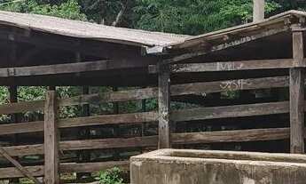 Imagem 7: Fazenda em Aragoiania