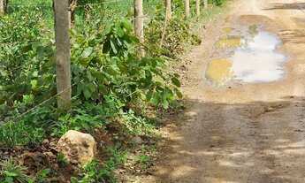 Imagem 4: Terreno de 2,75 ha, a 18 km da cidade de Caetité-BA o