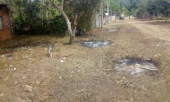 Imagem 4: /Lote com 800 M2 em Açutuba