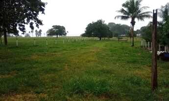 Imagem 4: Chácara Completa de 7 Alqueires à Venda em São Luís de Montes Belos GO