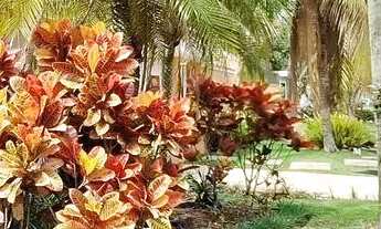 Imagem 2: Aluguel e venda 351m² 4 suítes, Village Marapendi, Barra da Tijuca, RJ