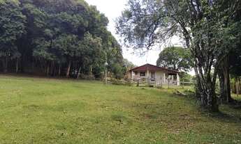 Imagem 5: Chácara ,bela vista