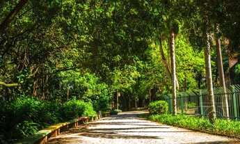 Imagem 5: Terreno em Jardim Peri Peri / Rolinópolis - São Paulo