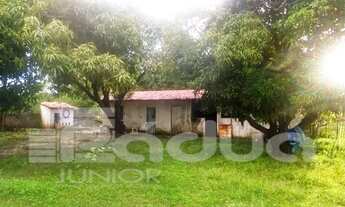 Imagem 7: Chácara à Venda no Povoado Matapoã - Mosqueiro