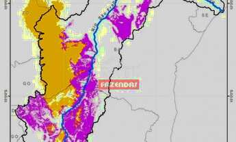 Imagem 5: Fazenda 2000 Hectares Jaiba - MG