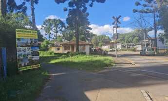 Imagem: Terrenos Terrenos em Alto Padrão Curitiba