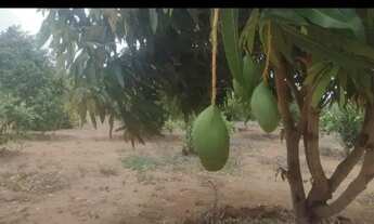 Imagem 3: Sítio em jeremoabo