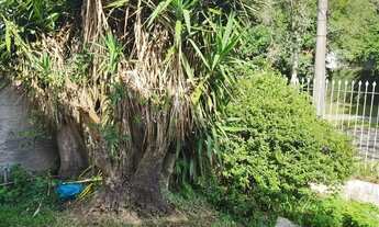 Imagem 7: Jardim Social, terreno 493,67m², casa183,90m²,2 salas, lareira, 3 quartos sendo 1 suíte, 2