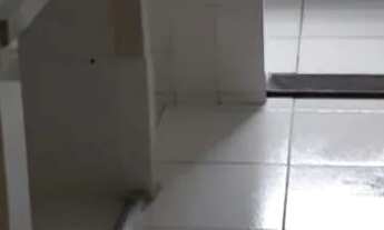 Imagem 6: Alugo aptos, casas Nova Iguaçu, São João Meriti 1,2,3e 4 qtos apartir de 600, centro