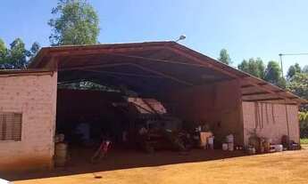 Imagem 7: Fazenda de Lavoura 46 Alqueires!