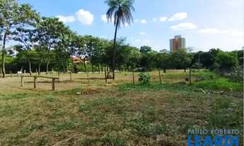Imagem 11: TERRENO - Vila Nova - SP
