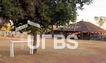 Imagem 4: Fazenda Ourinho de Deus - 63 alqueires - 7 km de Santa Tereza - Go