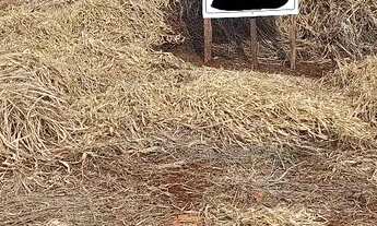 Imagem: Terreno Santa Tereza do Oeste