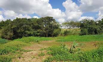 Imagem 4: Chácara com 7mil metros² em terreno