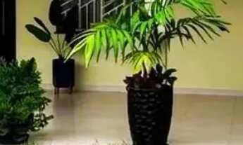 Imagem: VENDE-SE CASA NO JARDIM TROPICAL BOA VISTA/RR