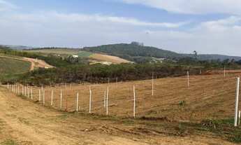 Imagem 4: Terrenos 500m² por R$49.900 em Caucaia Próximo ao Asfalto!