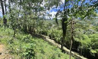 Imagem 2: Lote à Venda no Centro de Santo Antônio do Pinhal com Mata Nativa e Localização Privilegia