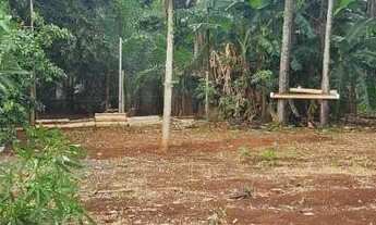 Imagem 6: Chácara de 2 alqueires e meio- Itaberai