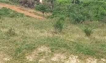 Imagem 5: Terreno na Ilha de Mar Grande