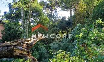 Imagem: Lote em rua Luis gali - Parque das Hortências