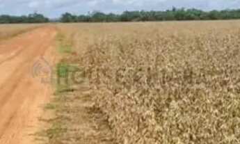 Imagem 3: Fazenda de 2.396 hectares na região da cidade de Jangada no estado de Mato Gross