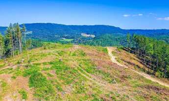 Imagem 6: Campo Largo, à 6 km do asfalto, 111 alqueires, ou 269 hectares , 38 Alqueires Própria Refl