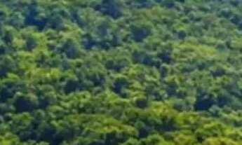 Imagem 7: Terrenos na cidade de Ibiúna - SP