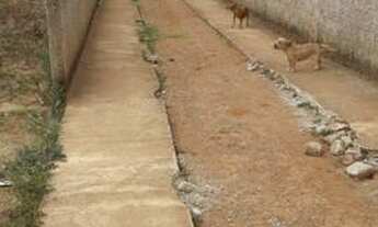 Imagem 6: Águas lindas 2 perto do Milton galinha