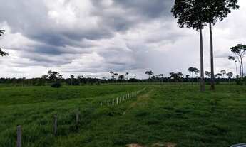 Imagem: Fazenda
