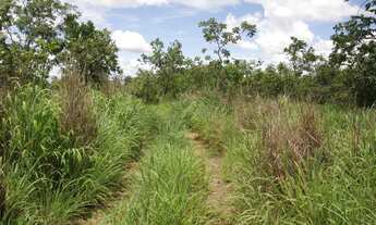 Imagem 4: Terreno de 16 hectares em Curvelo