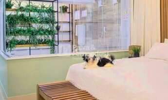 Imagem 5: CASA EM RUA PÚBLICA, CAPIM MACIO 5/4, 4 SUÍTE