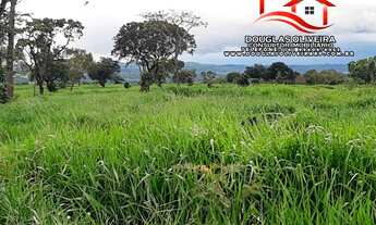 Imagem: Fazenda 40,5 Alqueires Ou 196 Hectares No